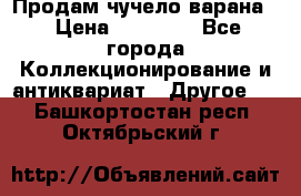 Продам чучело варана. › Цена ­ 15 000 - Все города Коллекционирование и антиквариат » Другое   . Башкортостан респ.,Октябрьский г.